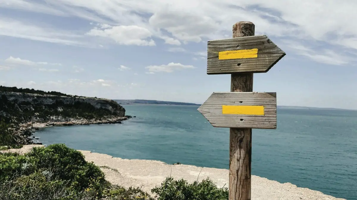 Read more about the article Why We Make Irrational Financial Decisions—and How to Stop